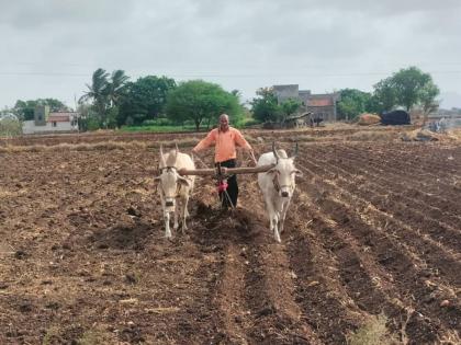 Interest waived for farmers who have taken crop loans up to three lakhs; Decision of Jalgaon District Bank | तीन लाखापर्यंत पीक कर्ज घेतलेल्या शेतकऱ्यांना व्याज माफ; जळगाव जिल्हा बँकेचा निर्णय