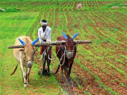 "Farmers will have happy days, now they will get loans up to five lakhs at zero percent." | PDCC Decision: 'शेतक-यांना सुखाचे दिवस येणार, आता पाच लाखांपर्यंत शून्य टक्क्यांनी कर्ज मिळणार'