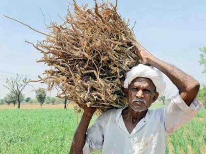 Agriculture Department has boycotted the work of the Farmers Samandhan Fund | हप्ते थांबले : डेटा एंट्रीच्या चुका दुरुस्त होणार कशा?