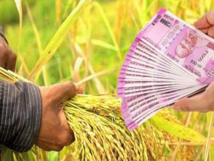 Farmers are upset because they are not getting subsidy of Rs 50,000 for regular crop loan repayments | कोल्हापूर: ५० हजार जमा झाले नसल्याने शेतकरी हवालदिल, हेलपाटे सुरू