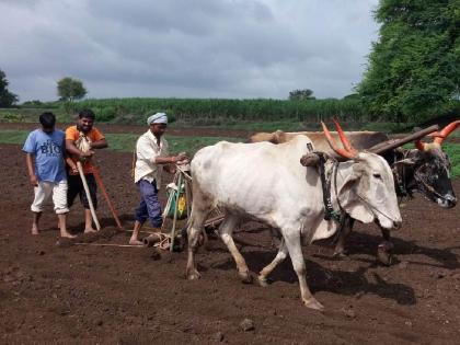 Warning for farmers Wait a minute, don't sow immediately after the arrival of monsoon in the state | शेतकऱ्यांसाठी इशारा! जरा थांबा, राज्यात मान्सून आल्यावर लगेच करू नका पेरणी