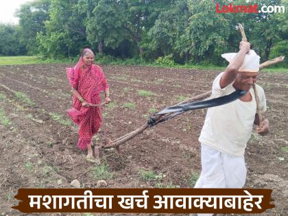 Unable to afford a pair of oxen; the yoke of ploughing falls on the shoulders of an elderly farmer! | जमीन कसायची कशी? बैलजोडी परवडेना; वृद्ध शेतकऱ्याच्या खांद्यावर कोळपणीचा जू ! Unable to afford a pair of oxen; the yoke of ploughing falls on the shoulders of an elderly farmer! | जमीन कसायची कशी? बैलजोडी परवडेना; वृद्ध शेतकऱ्याच्या खांद्यावर कोळपणीचा जू !