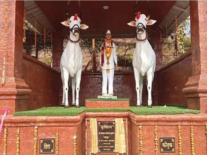 The children kept the memory of the father who cultivated agriculture, the memory was preserved by erecting a statue with a pair of bullocks | शेती पिकवणाऱ्या वडिलांचं मुलांनी ठेवलं स्मरण, बैलजोडीसह पुतळा उभारत जपली आठवण   