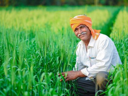Now farmers in Bihar will be digital, they will be able to take advantage of government schemes from home | आता बिहारमधील शेतकरी होणार डिजिटल, घरबसल्या घेऊ शकतील सरकारी योजनांचा लाभ