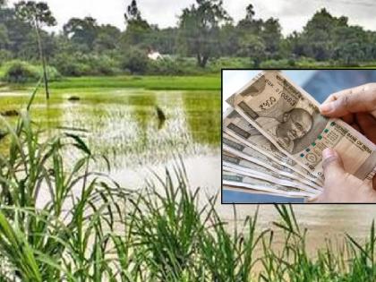 19 lakh farmers affected by heavy rains in the state will get Rs 1339 crore assistance how much is the district wise fund know | राज्यात अतिवृष्टीने नुकसानग्रस्त १९ लाख शेतकऱ्यांना १३३९ कोटींची मदत, जिल्हानिहाय निधी.. जाणून घ्या