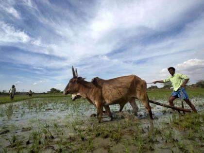 Monsoon likely to be below normal this year predicts Skymet | 'पाणीबाणी'ची भीती; अल् निनोमुळे सरासरीपेक्षा कमी पाऊस पडणार!