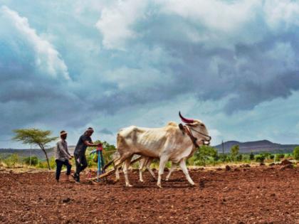 Tell me when to sow 'Nashiba'? Rain came, but still only 25 percent | सांगा कधी करायची ‘नशिबा’ची पेरणी? पाऊस आला, पण अद्याप २५ टक्केच