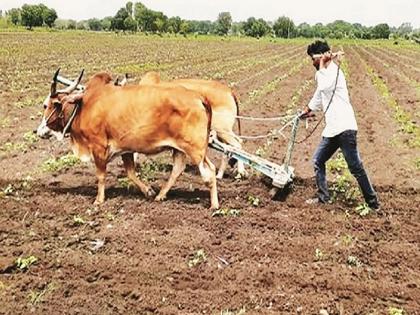 The rain was long; Crisis of double sowing in Marathwada | पाऊस लांबला; मराठवाड्यावर दुबार पेरणीचे संकट