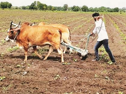 Only 50.67 per cent sowing of rabi in Aurangabad district; Sow more wheat than sorghum | औरंगाबाद जिल्ह्यात रबीची 50.67 टक्केच पेरणी; ज्वारीपेक्षा गहू, हरभऱ्याचा वाढला पेरा