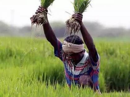 The force of the moneylender, frustrated by the untimely rain; Two farmers end their lives every day in Marathwada | 'सावकाराचा जाच,अवकाळीमुळे हतबलता'; मराठवाड्यात रोज दोन शेतकरी संपवतात जीवन