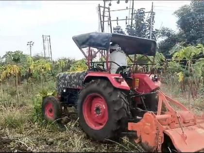 Washim: Farmers turned the tractor on three acres of papaya, the decision was taken as the production cost was not going | Washim: तीन एकरातील पपईवर शेतकऱ्यांने फिरविला ट्रॅक्टर, उत्पादन खर्च निघत नसल्याने घेतला निर्णय