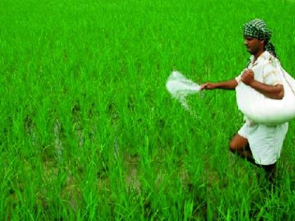 Loan waiver to 7,000 farmers in Satara district | सातारा जिल्ह्यातील ६५ हजार शेतकऱ्यांना कर्जमाफी-- सरकारकडून घोषणा