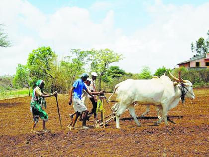 Baliraja is in a dilemma due to heavy rains | पावसाने दडी मारल्याने बळीराजा द्विधावस्थेत