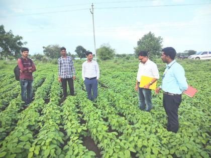 ..while 25 percent advance amount to crop insured farmers as compensation | ..तर नुकसानभरपाई म्हणून पीकविमाधारक शेतकऱ्यांना २५ टक्के अग्रीम रक्कम