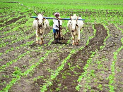 4858 farmers ineligible for 'incentive' subsidy; So far 21870 farmers have benefited | 'प्रोत्साहन' अनुदानासाठी ४८५८ शेतकरी अपात्र; आतापर्यंत २१८७० शेतकऱ्यांना मिळाला लाभ 