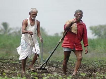 If four paise fell in the pocket of the farmer, then his stomach hurt! | शेतकऱ्यांच्या खिशात चार पैसे पडले, की पोट दुखलेच !