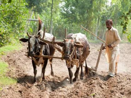 Farmers are sowing 'seeds of anger', beware! | शेतकरी ‘संतापाचे बियाणे’ पेरताहेत, सावधान!