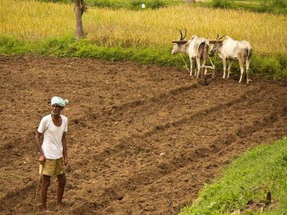 1.7 crore farmers in 100 districts of the country will now be more empowered | देशातील १०० जिल्ह्यांमध्ये १.७ कोटी शेतकरी आता होणार अधिक सक्षम 1.7 crore farmers in 100 districts of the country will now be more empowered | देशातील १०० जिल्ह्यांमध्ये १.७ कोटी शेतकरी आता होणार अधिक सक्षम