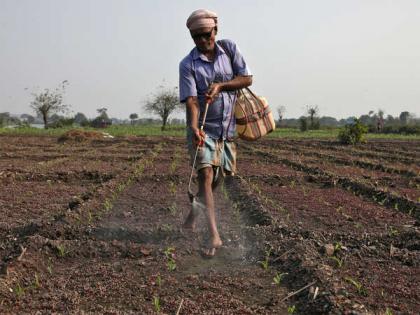 Looting of farmers from seed sellers | बियाणे विक्रेत्यांकडून शेतकऱ्यांची लूट