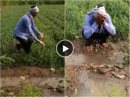 due to unseasonal rains farmers getting crying as their crops are submerged in water video goes viral on social media | अवकाळीने हिरावला तोंडचा घास; मातीमोल झालेलं पीक पाहून शेतकऱ्याला अश्रू अनावर, Video पाहा 