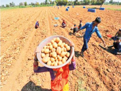 How much money comes in the farmer's pocket? The production of agricultural products in the country increased, but the hands of the farmers remained empty | किती पैसे येतात शेतकऱ्याच्या खिशात? देशात शेतमालाचे उत्पादन तर वाढले, पिकविणारे हात मात्र रिकामेच राहिले