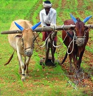 4% व्याज, 3 लाखांचे कर्ज; 'या' योजनेचा शेतकऱ्यांना फायदा; आर्थिक पाहणी अहवालात उल्लेख