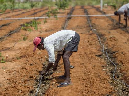 The highest number of farmer suicides in two decades in the month of March this year | दोन दशकात सर्वाधिक शेतकरी आत्महत्या यंदाच्या मार्च महिन्यात