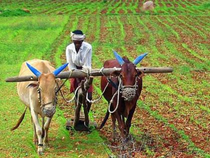 Shikhar Bank will provide loans to societies, a big relief to farmers! | शिखर बँक देणार सोसायट्यांना कर्ज, शेतकऱ्यांना माेठा दिलासा! सावकारी जाचातून बळीराजाची सुटका करण्यासाठी निर्णय