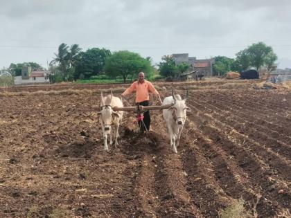 Farmers in Maharashtra work all year round but in the end they only get rupees 6950 | शेतकऱ्याने फक्त वर्षभर राबायचेच का? अन् शेवटी त्यांच्या पदरी पडणार केवळ ६,९५० रुपये ! Farmers in Maharashtra work all year round but in the end they only get rupees 6950 | शेतकऱ्याने फक्त वर्षभर राबायचेच का? अन् शेवटी त्यांच्या पदरी पडणार केवळ ६,९५० रुपये !