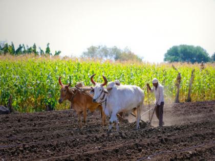 Maharashtra farmers want Rs 50,000 per hectare like Punjab; AAP demands | पंजाबप्रमाणेच महाराष्ट्रीय शेतकऱ्यांना हवेत हेक्टरी ५० हजार रुपये; 'आप'ची मागणी