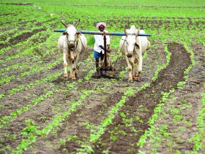 For three years, the state government's ideal farmer awards were suspended | जळगाव : तीन वर्षांपासून राज्य शासनाचे आदर्श शेतकऱ्यांचे पुरस्कार रखडले