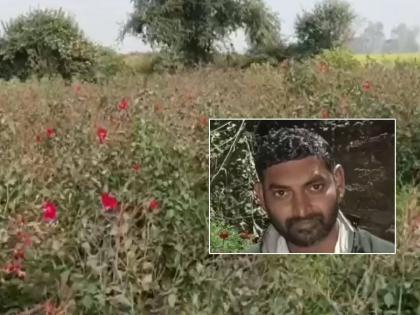 Farmers of Chitrakoot in Uttar Pradesh are earning 5 to 10 thousand rupees a day through flower farming    | फुलशेतीनं बदललं नशीब! एकेकाळी मजूरी करणारा बळीराजा दिवसाला कमावतोय हजारो रूपये