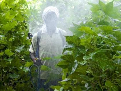 Four to five farmers poisoned by spraying every day! | दररोज चार ते पाच शेतकऱ्यांना फवारणीतून विषबाधा!