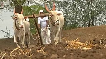 Lok Sabha Election 2019: Farmers problems disappear from election campaign! | Lok Sabha Election 2019 : निवडणूक प्रचारातून शेतकऱ्यांच्या समस्या गायब!