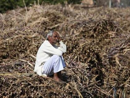 Two farmers of Loha and Bard Shiwar hanged themselves | लोहा अन् बारड शिवारातील दोन शेतकऱ्यांनी घेतला गळफास