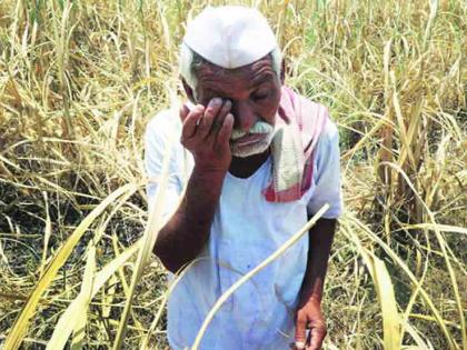 Drought-hit farmers need help | दुष्काळी भागातील शेतकऱ्यांना मदतीची आस