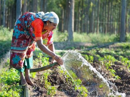 Now just provide your ID number; application will be approved immediately agristack scheme information | आता फक्त ओळख क्रमांक सांगा; अर्जाला लगेच मंजुरी; ॲग्रिस्टॅक हीच शेतकऱ्यांची ओळख; ७/१२, ‘८अ’ची गरज नाही Now just provide your ID number; application will be approved immediately agristack scheme information | आता फक्त ओळख क्रमांक सांगा; अर्जाला लगेच मंजुरी; ॲग्रिस्टॅक हीच शेतकऱ्यांची ओळख; ७/१२, ‘८अ’ची गरज नाही