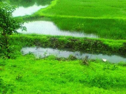 Agricultural hazard due to chemical sewage | रासायनिक सांडपाण्यामुळे शेती धोक्यात