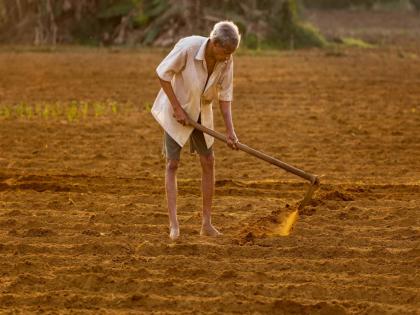 in goa even 50 percent of the land is not under cultivation young people from farming families move to cities in search of jobs | ५० टक्के जमीनही लागवडीखाली नाही! शेतकरी कुटुंबातील तरुण नोकरीच्या शोधात शहरांकडे