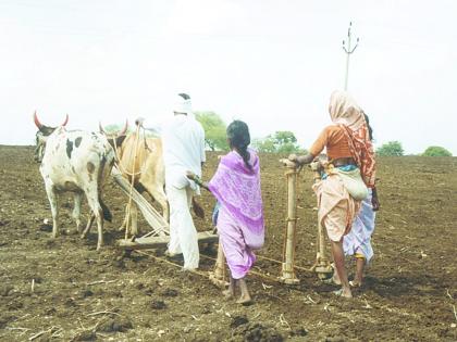 Ponds, dams to get rid of royalty! | तलाव, धरणांतील ‘गाळा’ला मिळणार रॉयल्टीतून सूट!