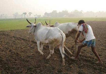 Tired farmers will get debt relief | थकीत शेतकऱ्यांनाही मिळणार कर्जमाफी