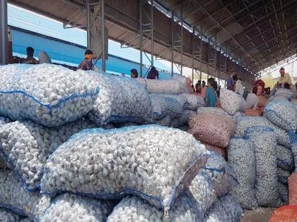 Garlic landed wholesale; But expensive in retail | घाऊकमध्ये लसूण उतरला; मात्र किरकोळमध्ये महागच!