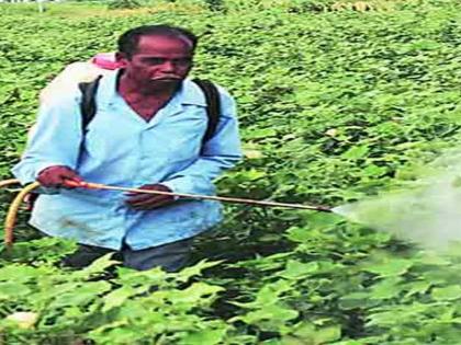 In spite of spraying crops in Nandurbar | नंदुरबारात पिकांवर फवारणी करतांना विषबाधेने शेतमजुराचा मत्यू