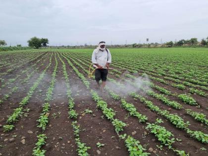 Thirty percent increase in the price of herbicides put farmers in financial crisis | तणनाशकांच्या किमतीत तीस टक्क्यांनी वाढ शेतकरी आर्थिक कोंडीत