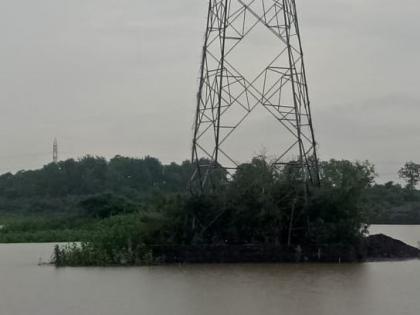 Monkeys stuck on flooded trees; The forest department team will try to rescue | पुराने वेढलेल्या झाडावर अडकली माकडे; वनविभागाची चमू करणार सुटकेसाठी प्रयत्न