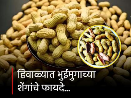 Winter Care Tips : Know the boiled peanuts health benefits | हिवाळ्यात भुईमुगाच्या शेंगा खाण्याचे फायदे, अनेक समस्या होतील दूर...