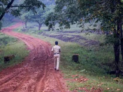 Why is there no opportunity for those who have higher education in forest department? This is an injustice to the graduates, an accusation by the students | वनविभागात उच्चशिक्षण घेतलेल्यांना संधी का नाही? हा पदवीधरांवर अन्याय, विद्यार्थ्यांचा आरोप