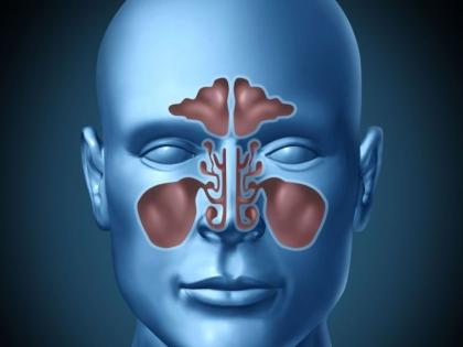 Coronavirus in Nagpur; Increased risk of sinus fungus ‘mucormycosis’ after corona infection! | कोरोना संसर्गानंतर वाढतोय सायनस फंगस ‘म्युकरमायकोसिसचा धोका!