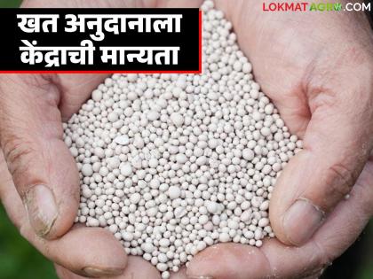 Union Cabinet approves NBS based subsidy on 'this' fertilizers for Rabi season | रब्बी हंगामासाठी 'या' खतांवर एनबीएस आधारित अनुदानाला केंद्रीय मंत्रिमंडळाची मान्यता Union Cabinet approves NBS based subsidy on 'this' fertilizers for Rabi season | रब्बी हंगामासाठी 'या' खतांवर एनबीएस आधारित अनुदानाला केंद्रीय मंत्रिमंडळाची मान्यता