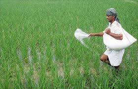 Farmers' expenses will increase; Fertilizers will be expensive? | शेतकऱ्यांचा खर्च वाढणार; खते महागणार?